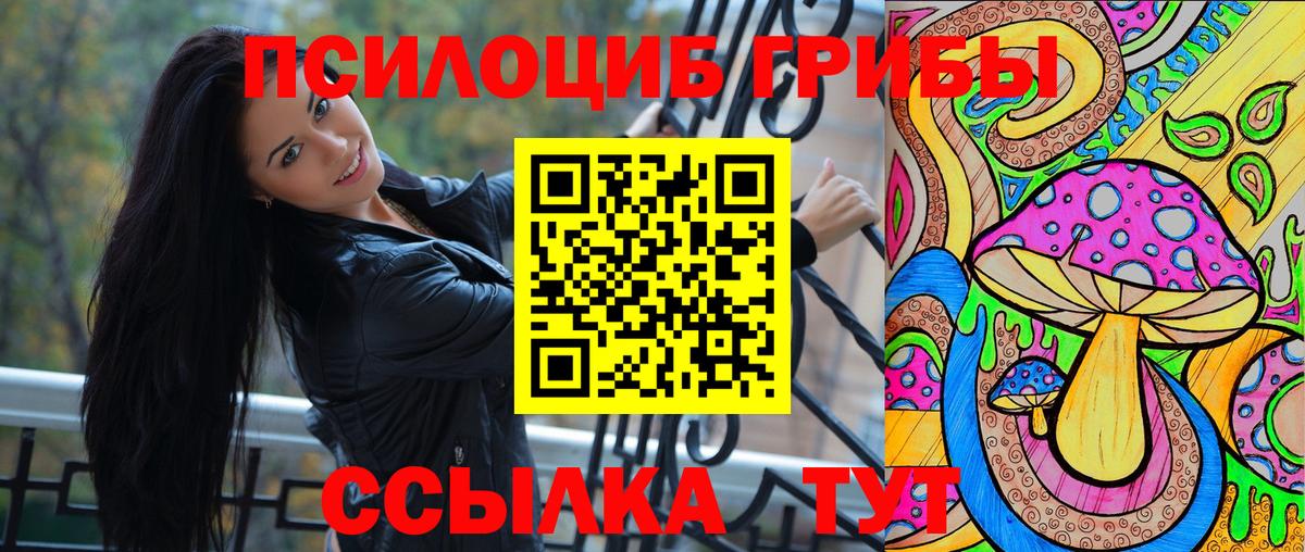 Псилоцибиновые грибы Cubensis Зеленокумск